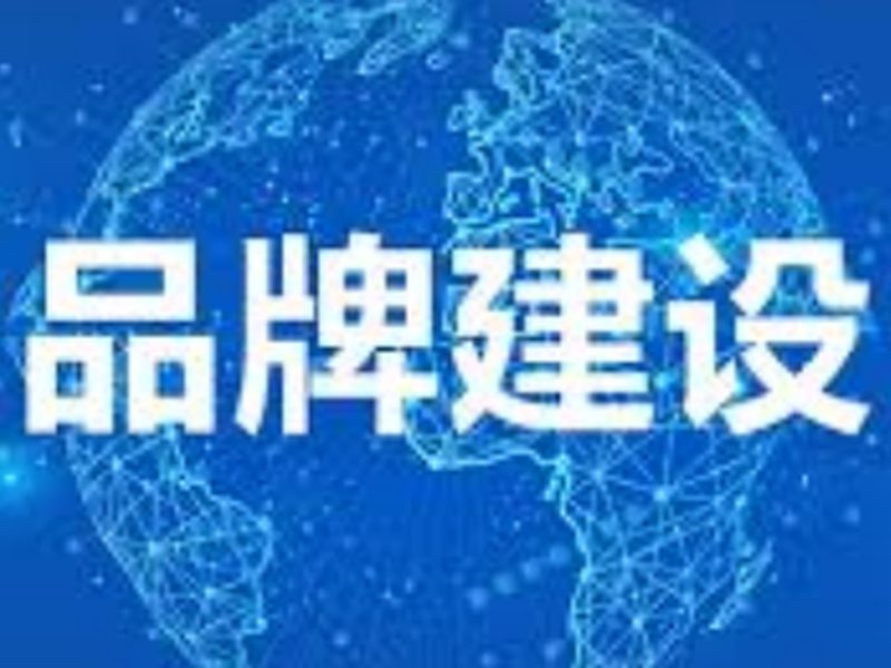 企业注重品牌建设的必要性.png