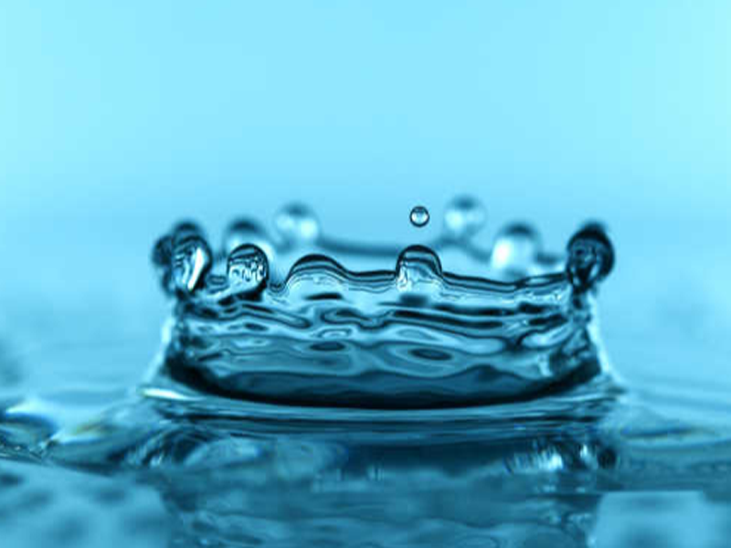 品牌效应的影响力